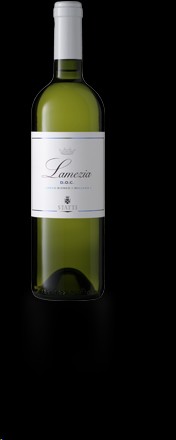 Statti Lamezia Bianco