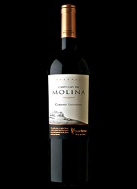 Castillo De Molina Cabernet Sauvignon Reserva